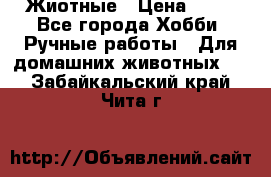 Жиотные › Цена ­ 50 - Все города Хобби. Ручные работы » Для домашних животных   . Забайкальский край,Чита г.